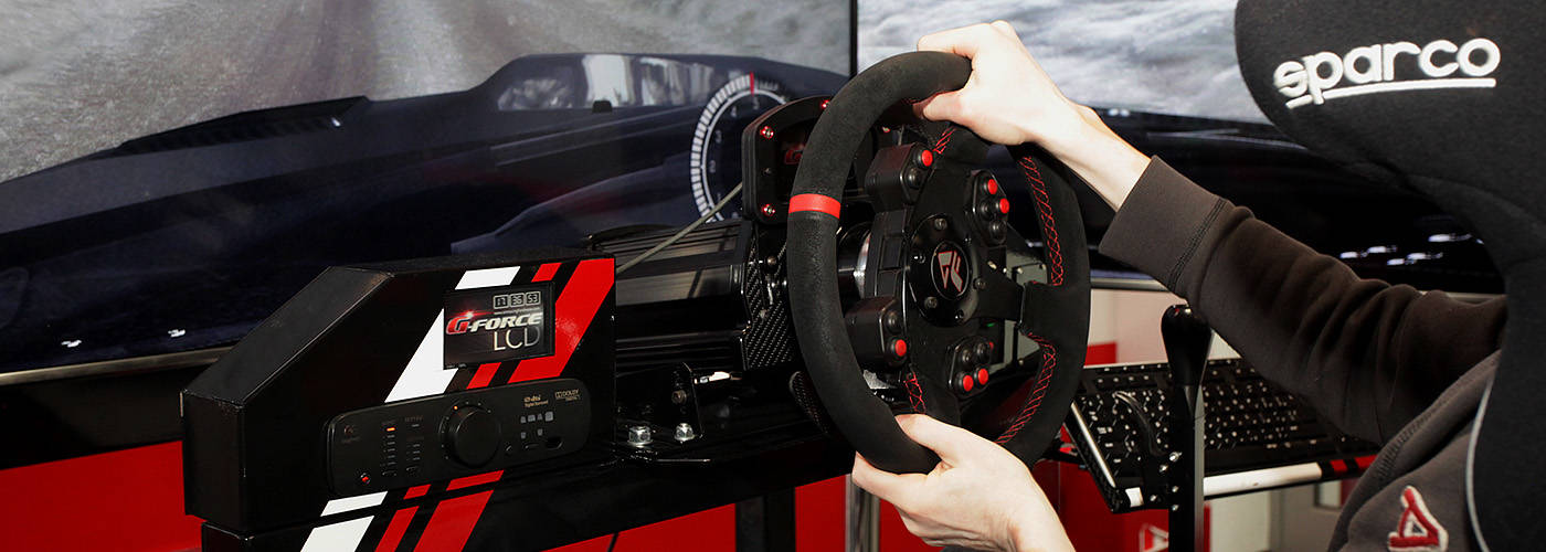 Автотренажер, профессиональный автосимулятор спортивного вождения: цена ...